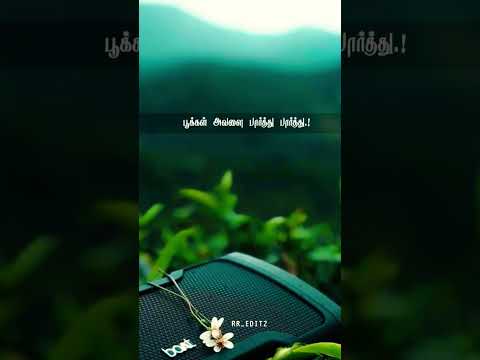 அழகிய லைலா அவள் இவளது ஸ்டைலா🎶#90severgreen#melody#youtube#shorts#kschithra