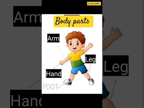 Parts of the body and head l kids learning l Education l CandyKiddie
