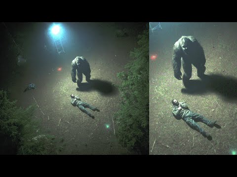 "BIGFOOT Takes Them At Night!" - Prison Guard Exposes TERRIFYING Attack - Bigfoot Story Compilation