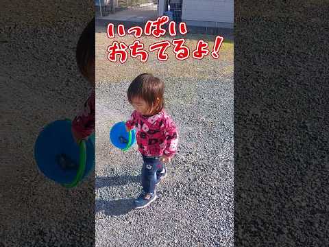 《1歳7ヶ月》石遊び　天気がいい日はお外で元気#日常#成長#子供#1歳児 #shortvideo#癒し#癒し#あかちゃんのいる生活#ショート#育児#short#shorts#赤ちゃん#親子#成長記録