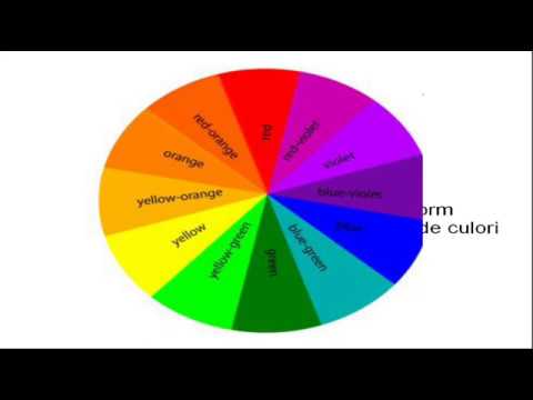 curs41web