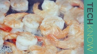 Unsafe shrimp and the question of seafood farming | TechKnow