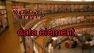 What does data element mean?
