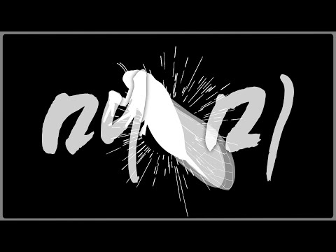 매미