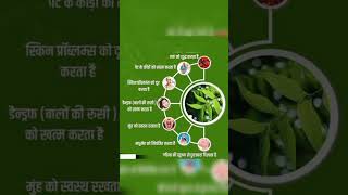 नीम की पत्ती के चौकाने वाले फायदे#youtubeshorts video