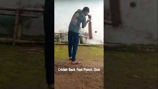 Cricket Back Foot Punch Shot #cricket #viralcricketshorts #cricketshorts #ytcricketshorts #ytshorts