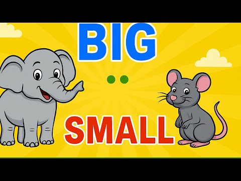 Big and Small | Size Comparison for Kids | Learn with Fun Examples! #educationalvideos #preschool