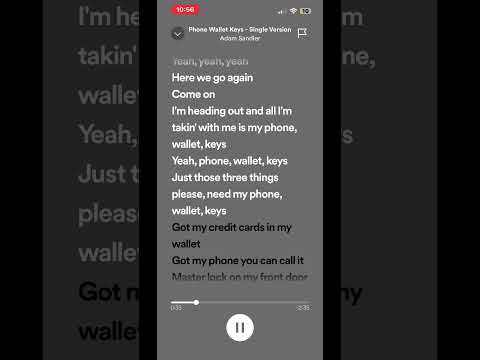 Phone, Wallet, Keys - Adam Sandler