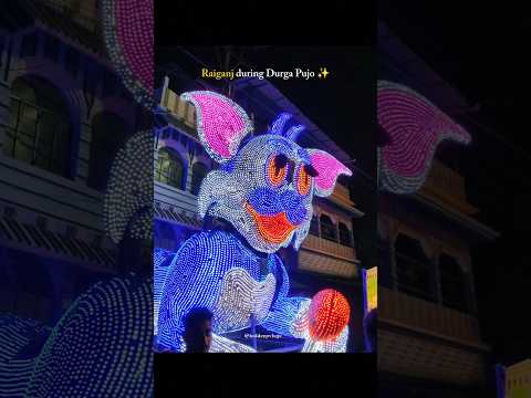 Raiganj During Durga Puja ✨#raiganj #raiganjcity #durgapuja #durgamaa #maadurga #pujoshorts #viral