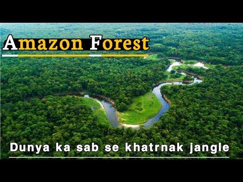 Amazing Secrets of the Amazon Jungle | Amazon Rainforest Facts in Urdu | ZK Point.