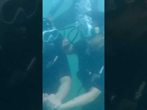 Underwater😍 #love #harshi #couple #couplegoal #adventure #ytshorts #shorts