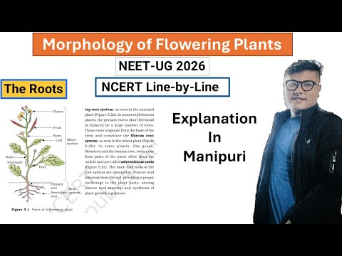 Morphology of Flowering Plants || Part-1 || NCERT Line by Line #ncert #neet