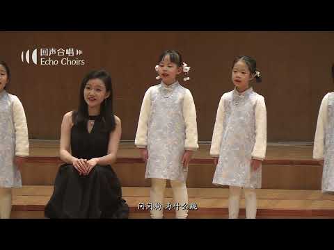 【回声少年合唱团】问问猫