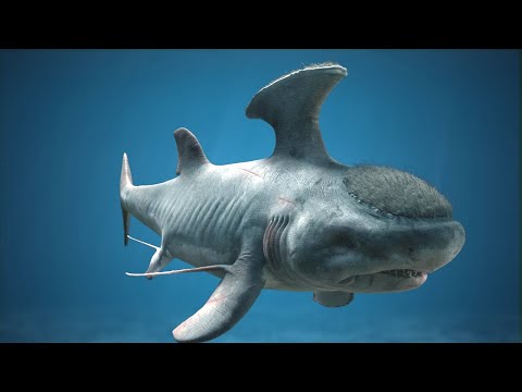 What On Earth Was Stethacanthus?