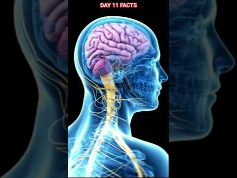 Mind Gut Connection #shorts  #facts #amazingfacts