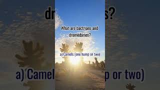 "Fun Riddles for You: Today's Knowledge Challenge" #brainteasers #smart #riddles #solveriddles