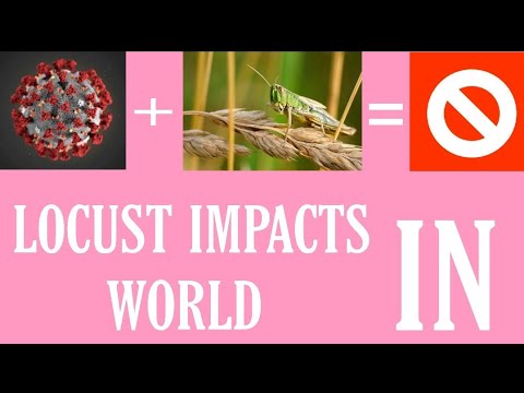 LOCUST IMPACTS IN WORLD