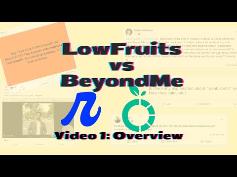 LowFruits.io vs BeyondMe: Review and Overview (Video 1)