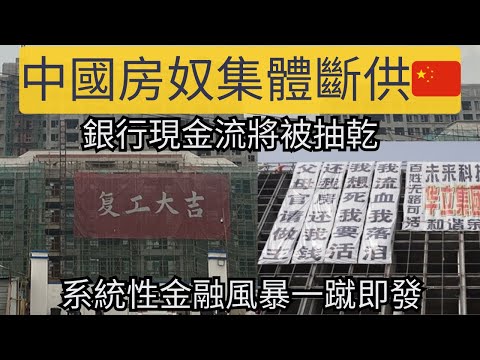 中國各地房奴集體斷供，大量法拍房流入市場，流拍率高達60%！銀行現金流被抽乾後，更大的系統性金融風暴就會一觸即發。