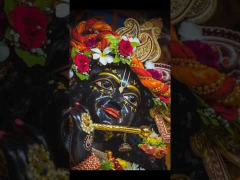 HAPPY KRISHNA JANMAASTAMI🦚📿💗#KrishnaJanmashtami #HareKrishna #LordKrishna #Bhakti