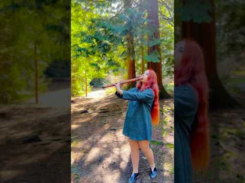 Soulful Flute in Forest Calm my Mind and Heart 🧘‍♀️  #mindfulsounds #calmingsounds