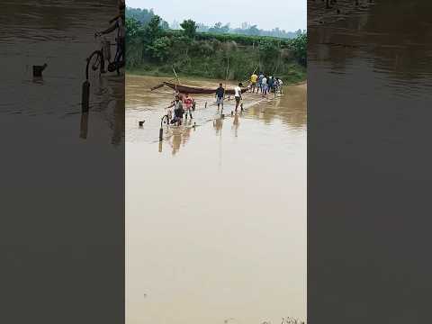 #viral #trending #shortsvideo#trendingshorts