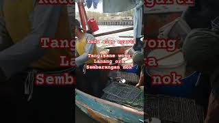 Nelayan dadap#videoshort #nelayandadap #capcut#vyp