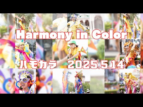 【最前列】2025年5月14日東京ディズニーランド　ハーモニーインカラー　ダンサーさんのみ