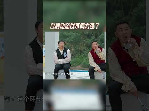 #白鹿 动态找不同太强了 #蔡徐坤 说人和人是有差距的  #爱豆星日常