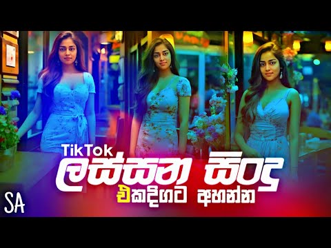 2023 New Songs Dj Remix // Bus Dj // New bus Videos and Songs @Rajarata_Remix_Hub