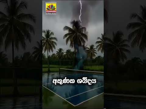 අකුණක ශබ්දය - පළමු ශ්රේණිය 2026 නව විෂය නිර්දේශය  #srilanka #education