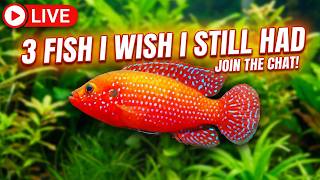 [LIVE]  I Wish I Still Had These 3 Fish + a Giveaway and a Fish Q&A !