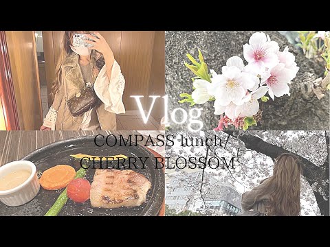 【Vlog】横浜ベイシェラトンCOMPASSでlunch🍽/今年初の桜🌸/イロハニ(韓国コスメ)でパックのお買い物