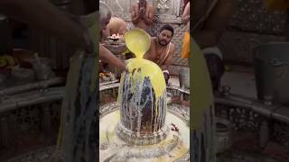 देवों का देव तू शिव महादेव #bholenath #mhadevstetus #shortsfeed
