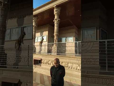 दिगम्बर जैन मंदिर हस्तिनापुर #Digamberjainmandir#shorts #short .