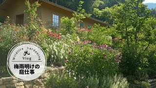梅雨明けの庭で咲く花、実る実。倒れた植物たちと、夏の始まり