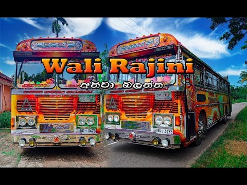 Wali Rajina | Sri Lanka Beautiful Bus | අනිවා බලන්න | Dilnethu Super Line