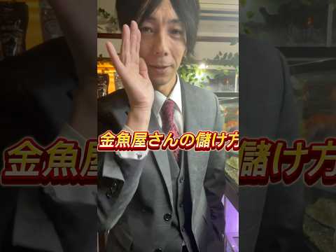 金魚屋さんの儲け方こっそり教えます！よかったら参考にして下さい！#金魚#経営#長野県
