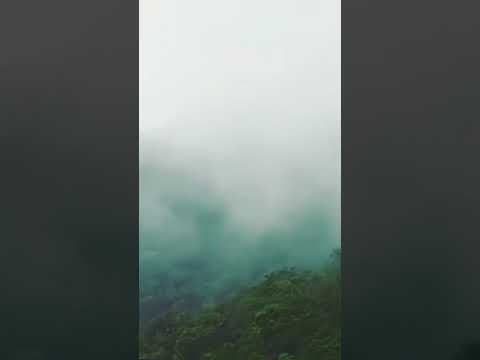 Nature # shorts#lovelystatus ❤️❤️#likeandsubscribe #💟💟