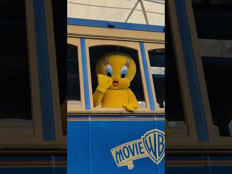 What a Star-Studded STAR PARADE! 🤩 Movie World Australia ✨ #ASMR #Shorts