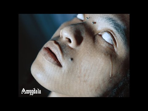 Myat Amara Maung - Amygdala Official Album Trailer
