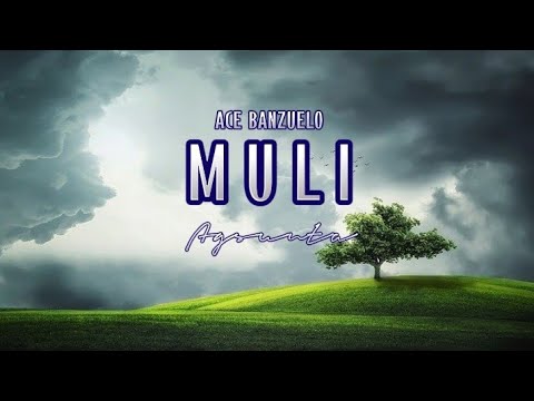 MULI | Ace Banzuelo | Agsunta (Cover) | MusiKaraoke