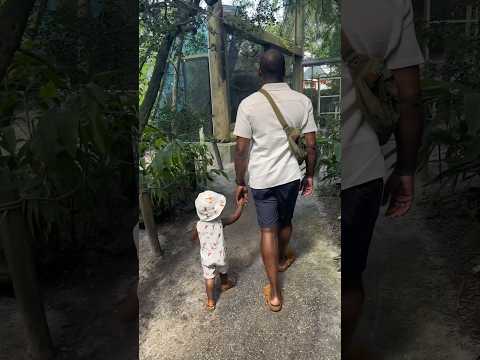 Come with us to Zoo Tampa #familyvacation #zoo #animals