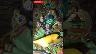 🙏🙏🥺🥺 Jai Shri Radhe Krishna.#shorts