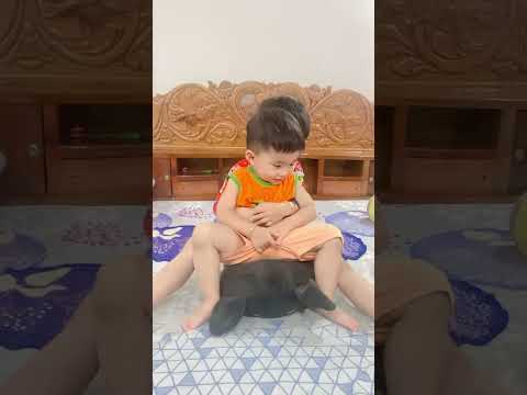 Cute babies laugh funny 😂 #shorts