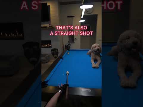 Cheating the pocket | #billiards  FAQ #shorts