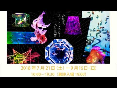 ｱｰﾄｱｸｱﾘｳﾑ2018金魚 名古屋