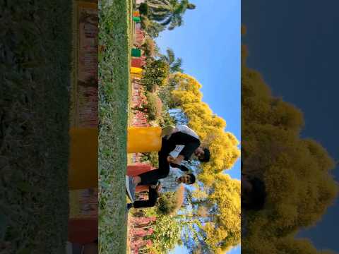 Bam lehri #shortvideo #shorts #viral