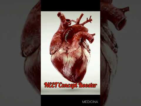 Diseases | Human Health & Disease #Neet #Biology #NeetTricks #NeetAspirants #Motivation #Shorts