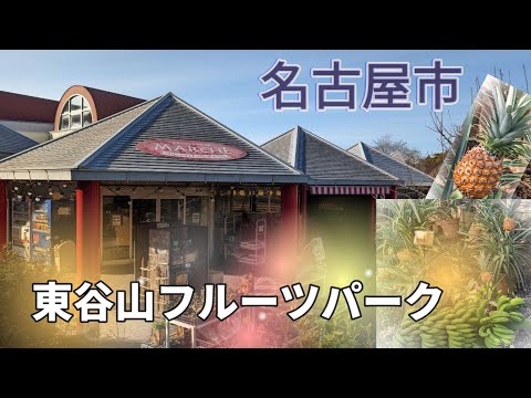 【愛知県】名古屋市　東谷山フルーツパーク　フルーツパークマルシェ　フルーツパークテラス